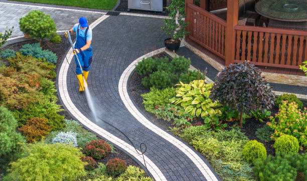 Best Roof Pressure Washing  in Earlham, IA